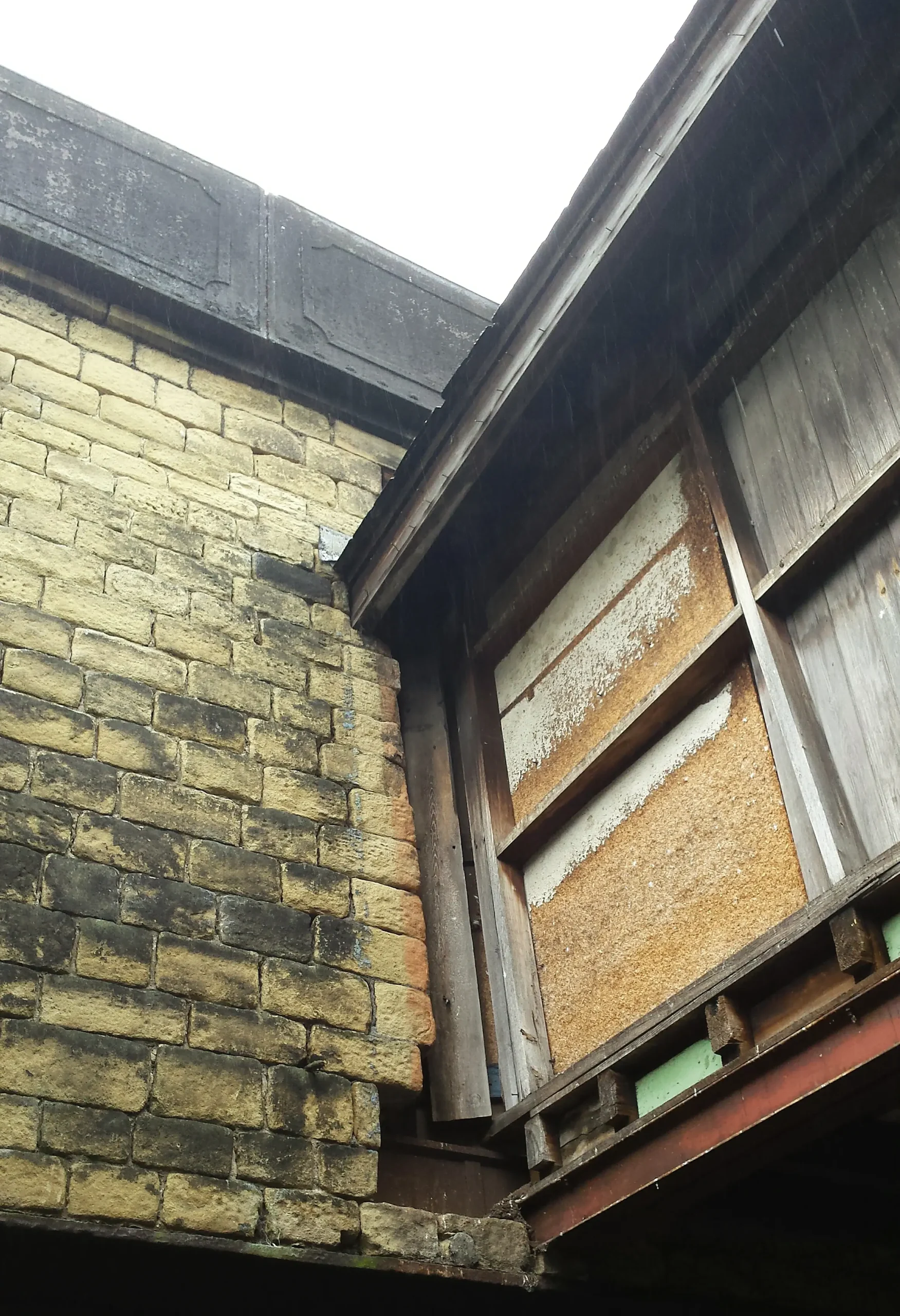 mold mold